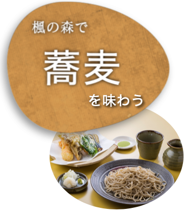 茨城おいしい蕎麦 蕎麦通にオススメ 蕎麦好きなら行く うまい蕎麦